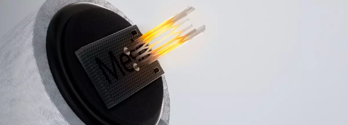 mesh coils 2